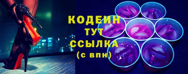 гашик Алексин