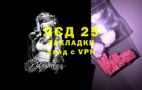 гашик Алексин