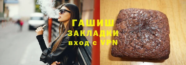 гашик Алексин