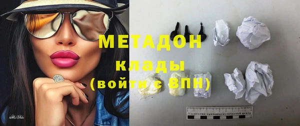 гашик Алексин