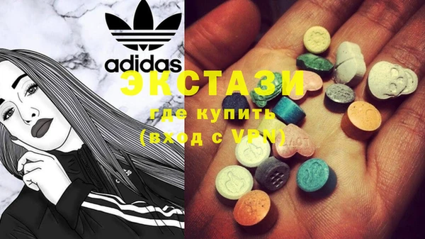 гашик Алексин