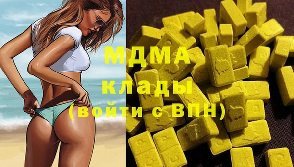 гашик Алексин