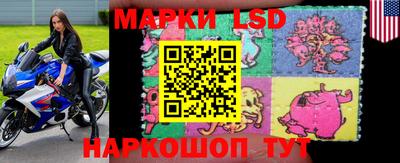mdpv Гатчина