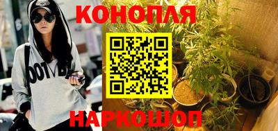 mdpv Гатчина