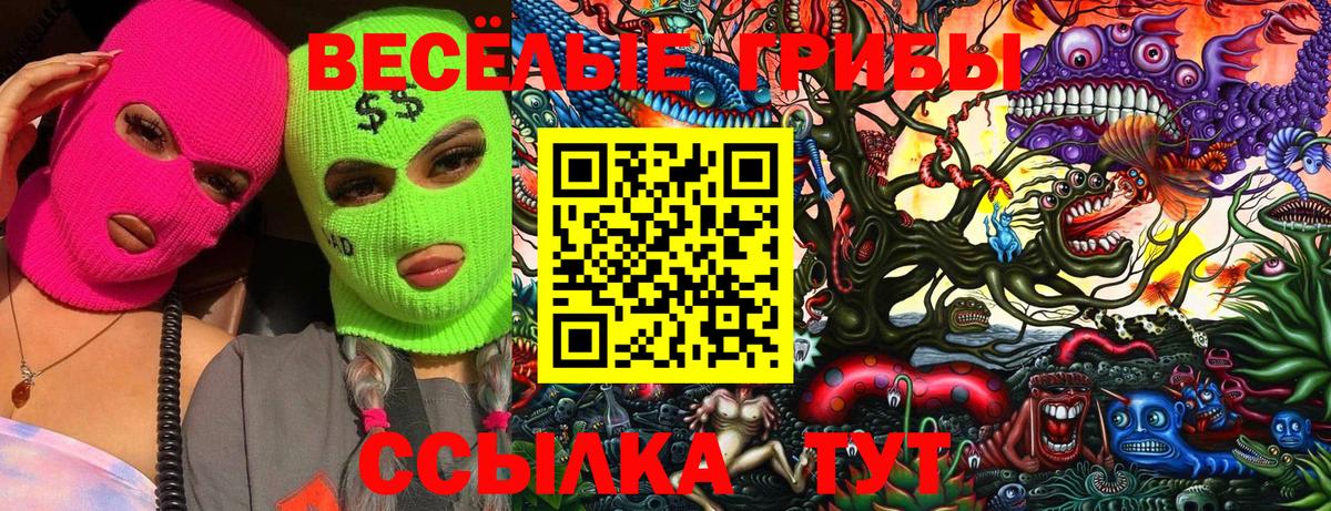 Псилоцибиновые грибы MAGIC MUSHROOMS  Вход с VPN  Нефтекумск 