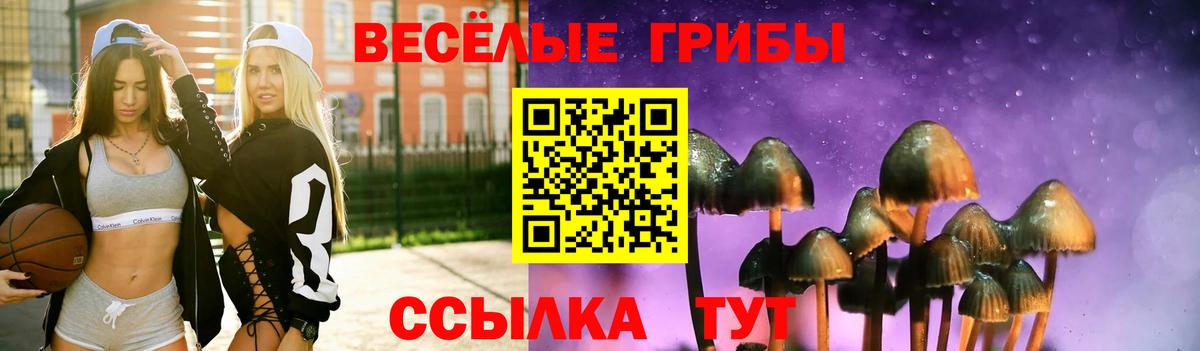 Галлюциногенные грибы мицелий Нефтекумск